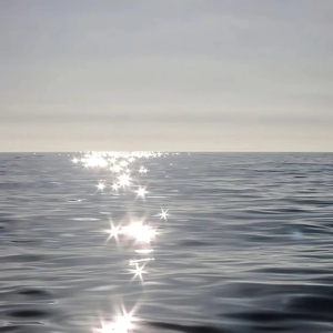 黑鸡巴性交美女
